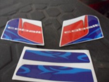 NEW GO KART 3L PETROL TANK